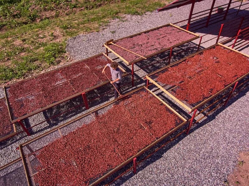 Nos Terroirs — plantations au Pérou