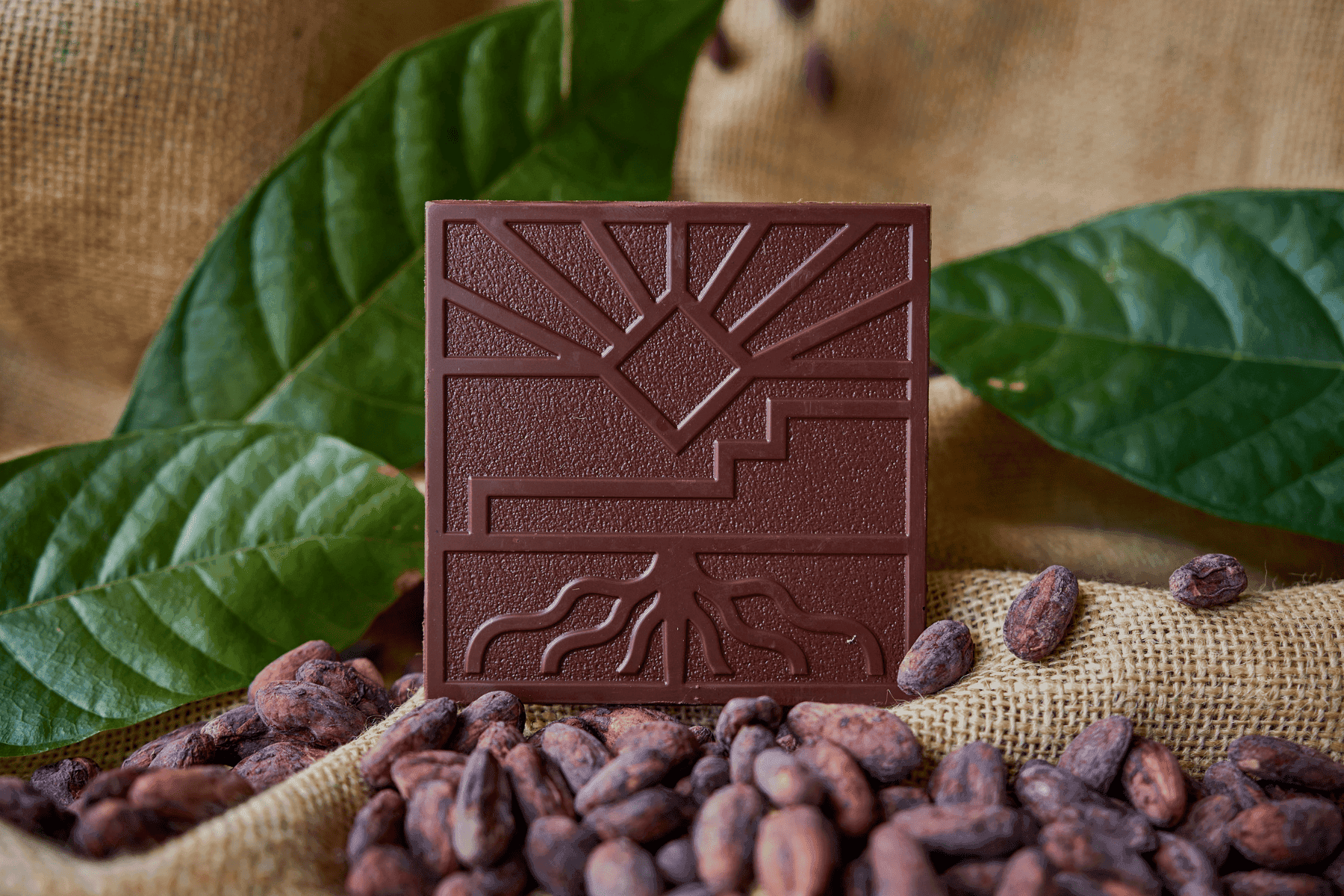 Comment dois-je conserver mon chocolat ?
