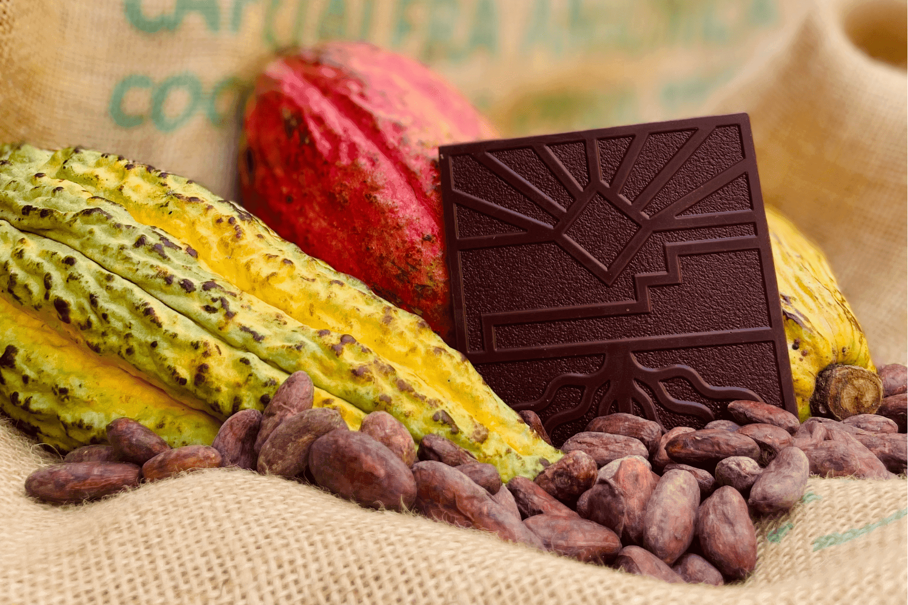 Existe-t-il des différences entre les chocolatiers ?